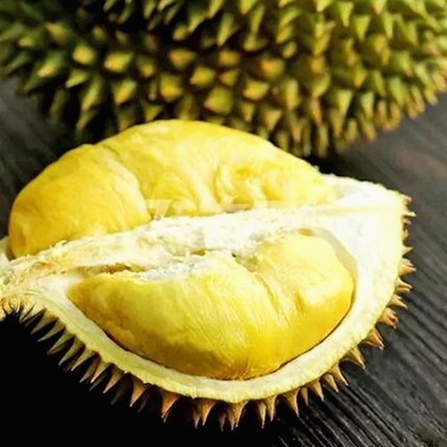 全面解析www91官方版下载：最新资源与安全指南