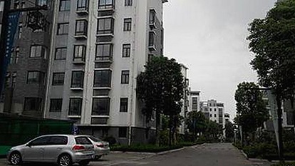 全面解析91下载：掌握最新娱乐资讯和资源