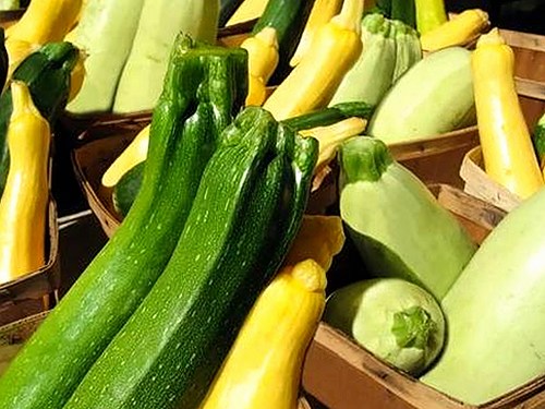 高清乱码🔞❌♋毛片入口官方版正版下载：了解最新资源与相关应用