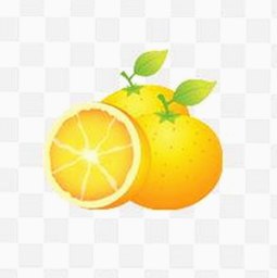 揭秘鲁鲁影院电视剧免费观看最新章节官方版：最新动态与使用指南