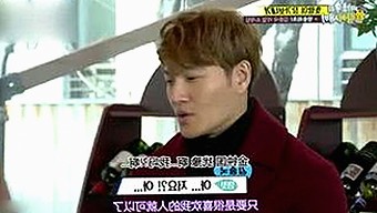 十大黄色软件揭秘：相关资源与下载途径详解