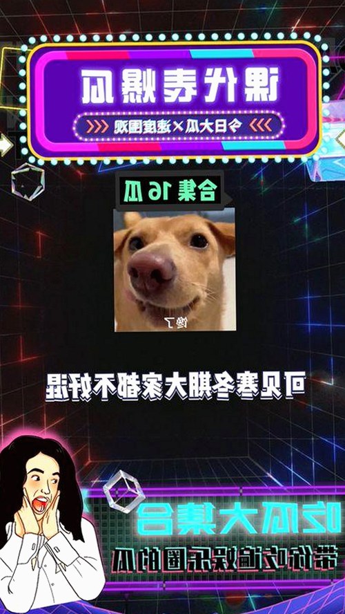 最新《乱公伦媳》免费免费版官方版，畅享高清观看体验
