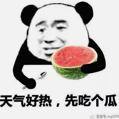 撸撸射最新版下载：畅享高清🈚码🔞❌♋毛片官方版体验