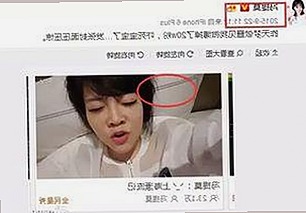 快猫免费版官方版：体验全新娱乐资源，轻松获取最新内容