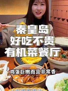 探索91下载：满足多样需求的全新体验