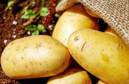 男🍌❌女🍑摸🐻水流是免费版下载：现状与争议的背后