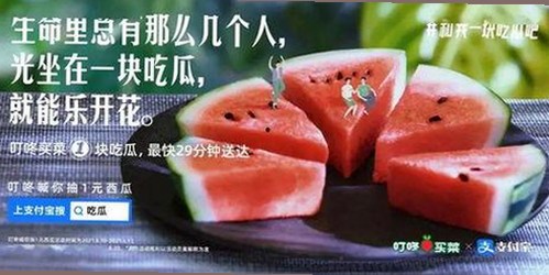 深度体验：豆花视频最新版下载带你领略多彩娱乐世界