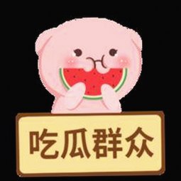 最新版本指南：如何快速获取菠萝TV最新版下载
