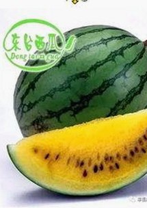 麻豆视频在线观看官方版免费版：绵阳市用户首选的高清体验