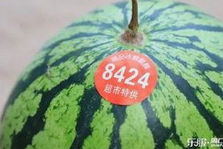 最新爱液官方网站百度免费版现已上线，安全可靠的访问指南