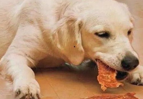 福州地区热议：如何通过看片免费版享受高清影视体验