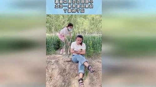 从争议到现状：🔞🍌进去里❌❌❌17c视频免费版的演变与影响