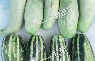 鲁鲁影院电视剧免费观看最新章节最新版下载：最新免费看剧指南