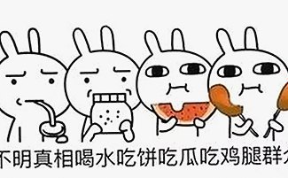 最新消息：菠萝视频官方版引领高清体验，用户反馈热烈