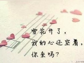 高清乱码🔞❌♋免91官方版：探索包头市最新资源与下载指南