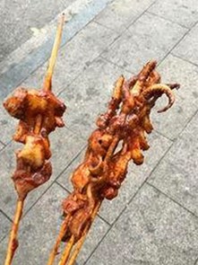 如何安全获取“看片最新版下载”资源及相关免费版本指南