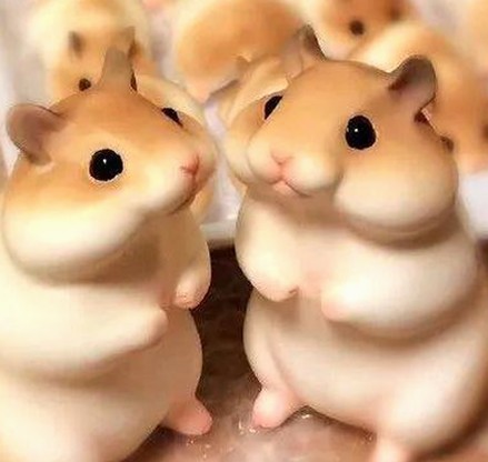 如何安全获取“看片最新版下载”资源及相关免费版本指南