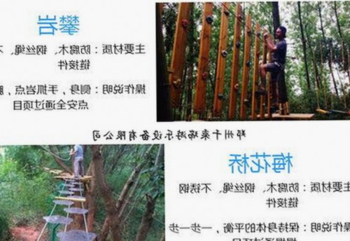 51吃瓜网最新版下载：掌握最新娱乐圈爆料与高清动漫资源