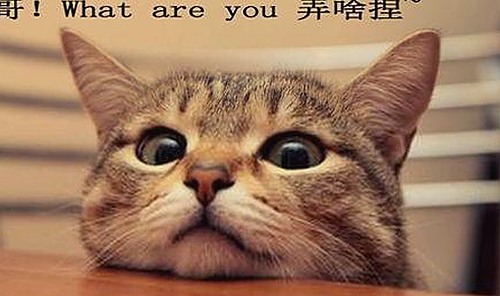 黑料吃瓜网官方版正版下载：揭秘娱乐圈最新内幕