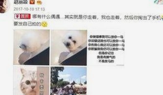 最新A片官方版：带你了解大连市最火热的在线观看体验