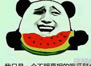 深度解析：十九岁完整版免费完整版的内容与下载途径