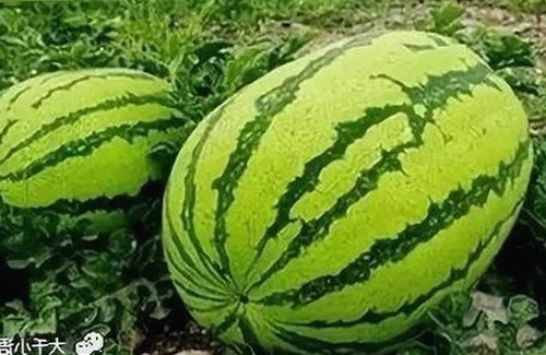 江门市高清🈚码🔞❌♋毛片免费版：探索最新成人内容与热门资源