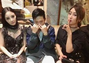 人or狗dna与猪ordna的配合与防治官方版下载：最新研究与应用前景