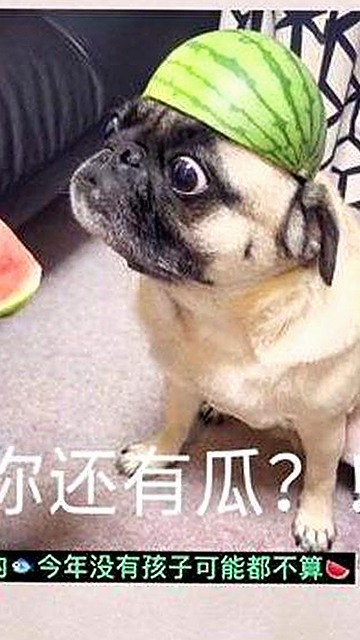 邢台市娱乐新体验：免费观看45分钟高清电视动漫免费版带你领略精彩内容