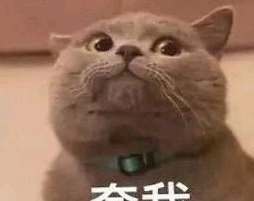 成人网最新版下载：探索最新资源与安全保障