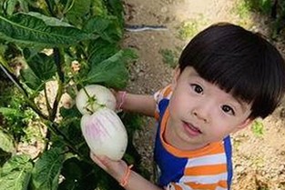 91破解版免费版下载：畅享丰富内容与最新资源