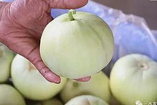 爱液官方网站winall引发关注：关于在线影视与软件下载的最新动态
