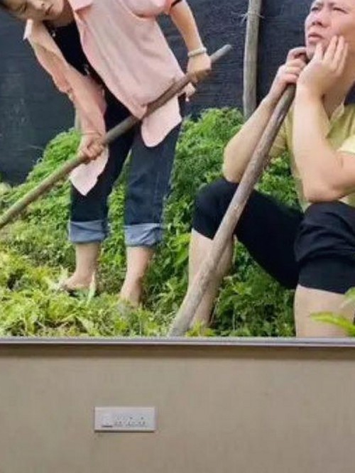 关于高清乱码🔞❌♋免费资源的现状与讨论