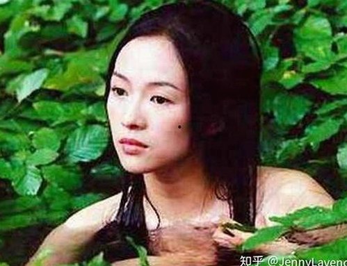 镇江市用户关注：17c在线观看免费版的最新动态解析