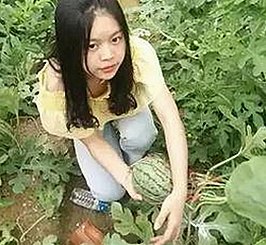 攀枝花市新体验：豆花视频官方版带你领略本土魅力