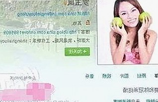 全面解析911行情电视观看高清版百度网盘官方版的优势与使用体验