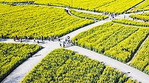 最新推荐：www91免费版官方版助力河源市用户体验升级