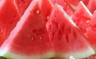 探索jm天堂安装包下载：贵阳市用户的最新选择