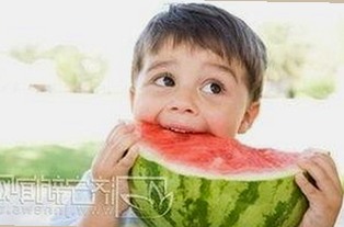 想要xx官方版：满足多样需求的选择指南