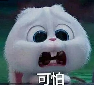 红桃视频官方版正版下载：人物关系与最新动态解析
