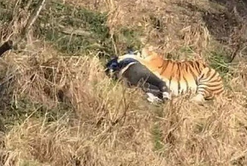 最新评测：91破解版免费版下载现已支持南宁市用户使用