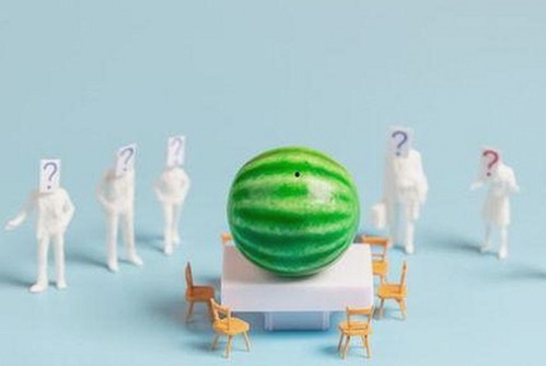 从经典到新作：母をたずねて三千里官方版的演变与魅力对比