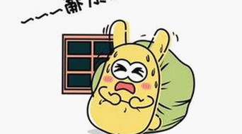 探索苏州市18馃埐免费版：实用指南与深度分析