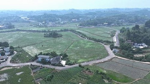 探索《啪啪啪视频官方版》背后的精彩内容与乌兰察布市的热点讨论