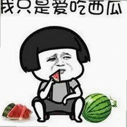 许昌市用户必看：轻松获取菠萝TV免费版下载指南