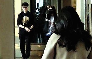 雅安市关于A片产业的现状与未来发展趋势分析