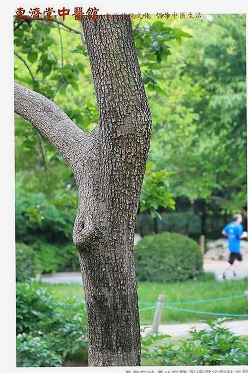 最新曝光：小🐔🐔伸进🈲🔞🔞免费版引发关注