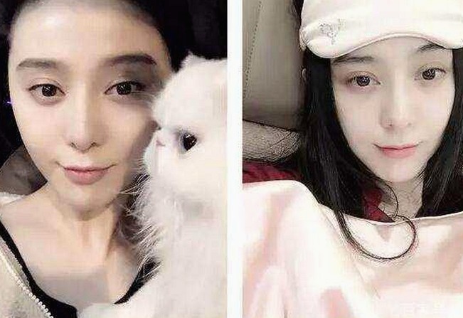 从崛起到争议：高清乱码🔞❌♋毛片入口官方版正版下载的现状变化