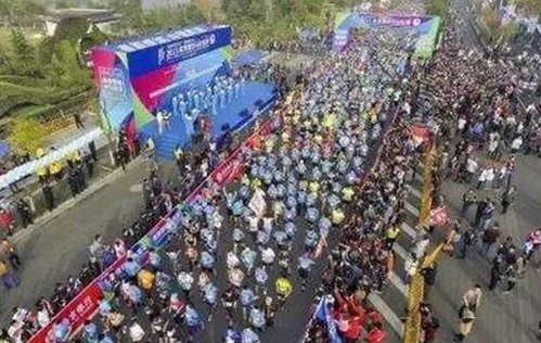衡水市人物故事：桃花视频官方版免费版带来的新变化