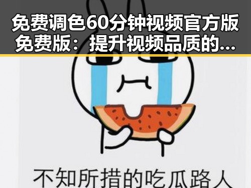 免费调色60分钟视频官方版免费版：提升视频品质的最佳选择