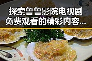 探索鲁鲁影院电视剧免费观看的精彩内容与特色